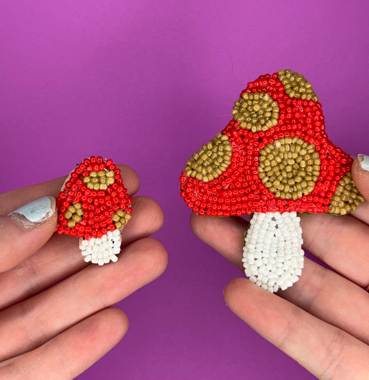 BigShroom+lilshroom